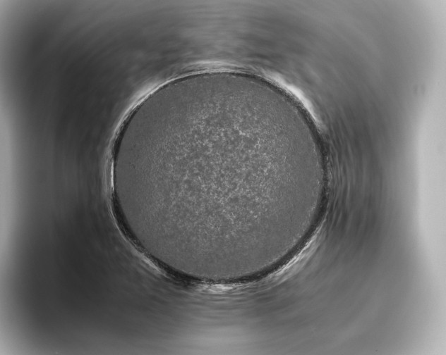 X0000096481365200801241436