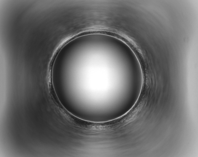 X0000096481366200801241436