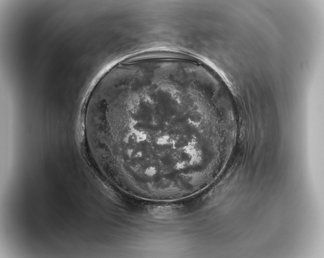 X0000096481367200801241436