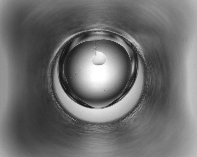 X0000096481368200801241436