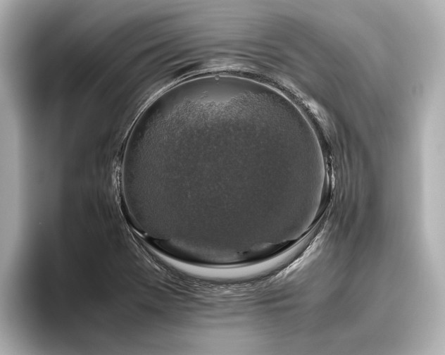 X0000096481369200801241436