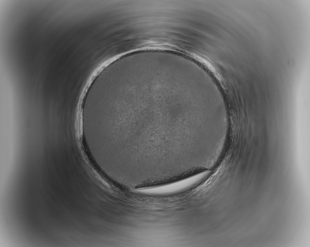 X0000096481371200801241436