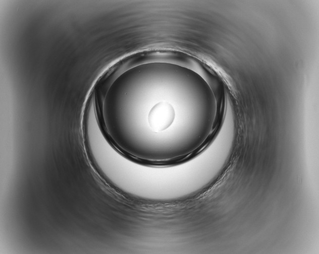 X0000096481372200801241436