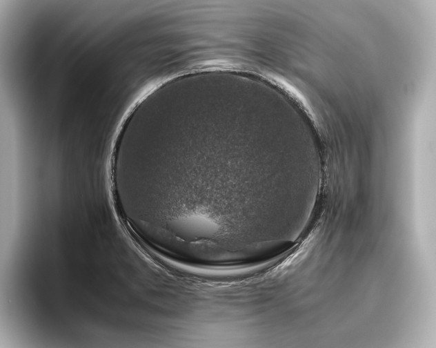 X0000096481373200801241436