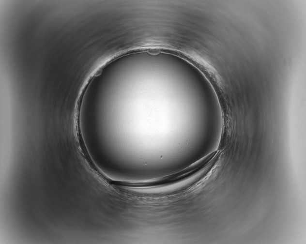 X0000096481374200801241436