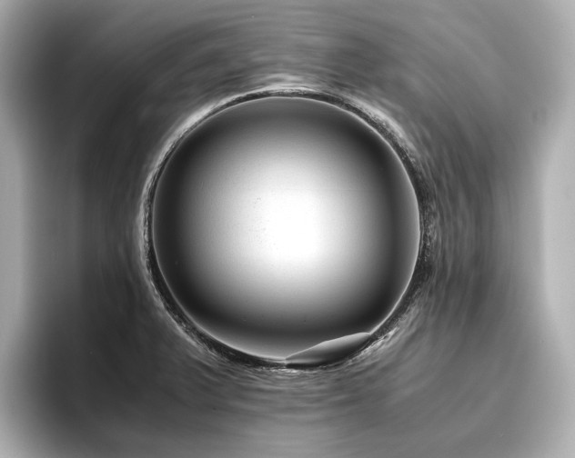 X0000096481375200801241436