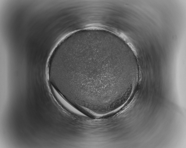 X0000096481376200801241436