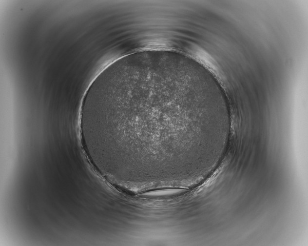 X0000096481378200801241436