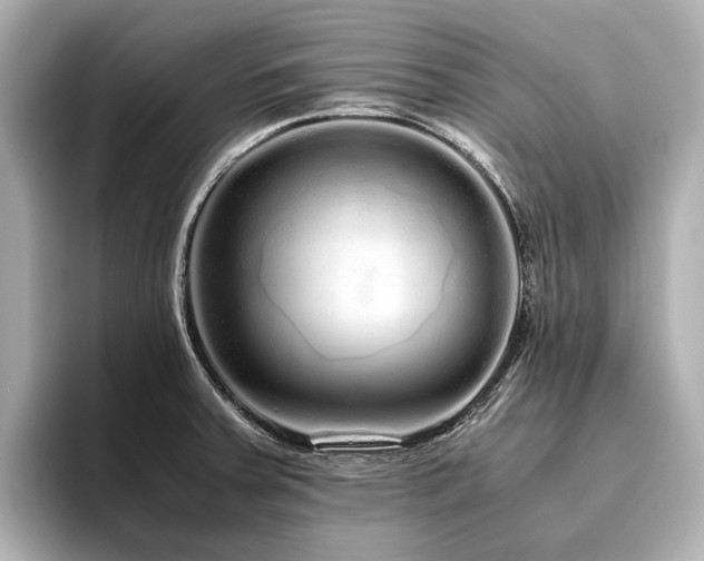 X0000096481379200801241436