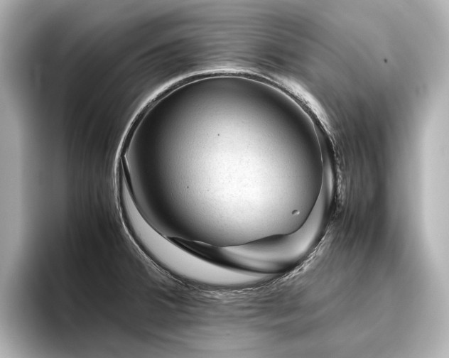 X0000096481380200801241436