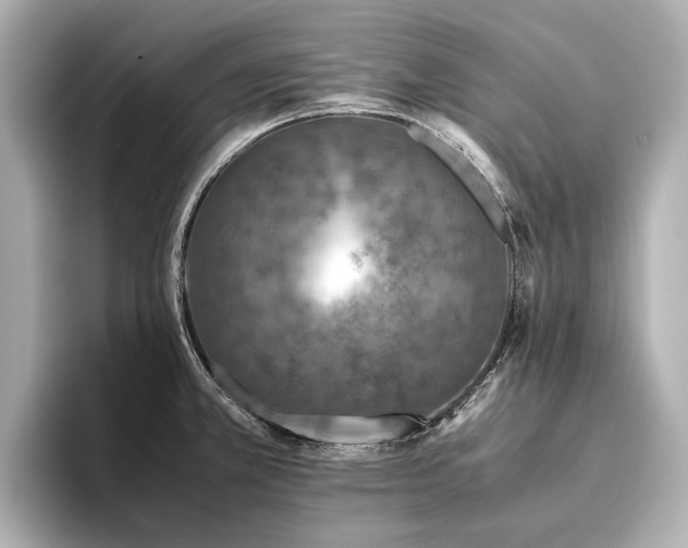 X0000096481381200801241436