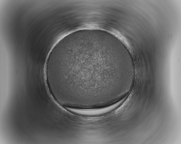 X0000096481382200801241436