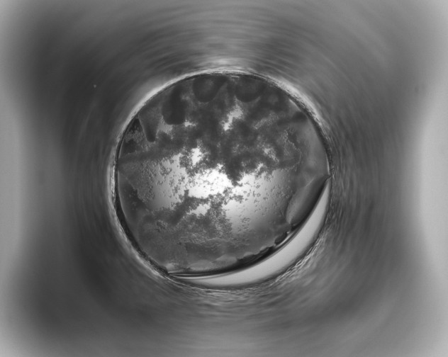 X0000096481383200801241436