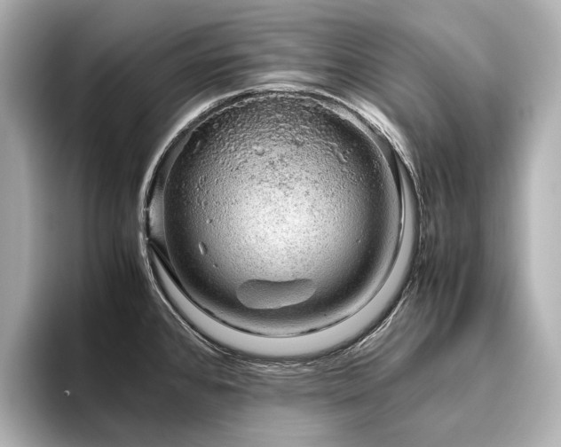 X0000096481384200801241436