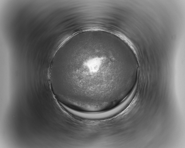 X0000096481385200801241436