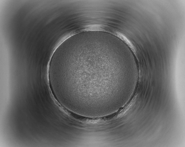 X0000096481386200801241436