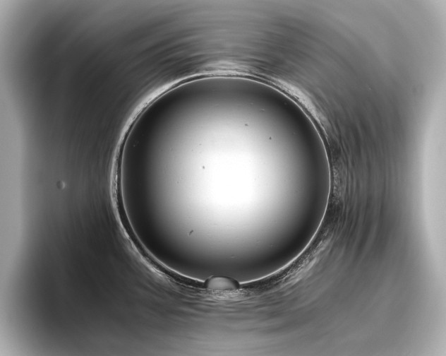 X0000096481387200801241435