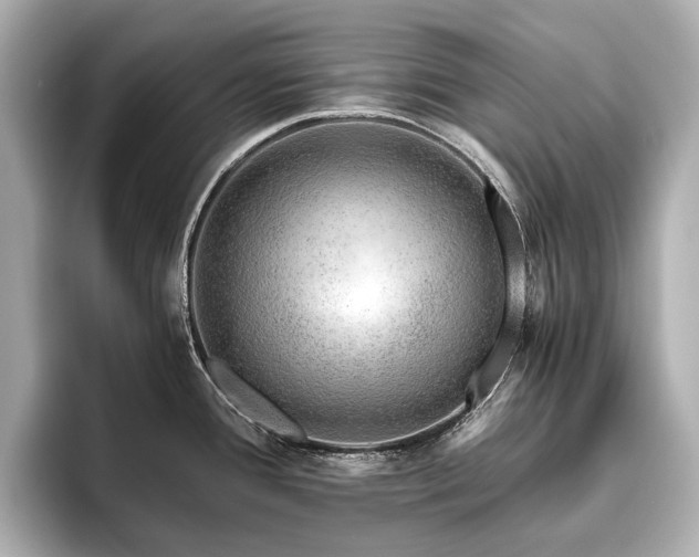 X0000096481388200801241435