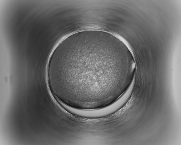 X0000096481389200801241435