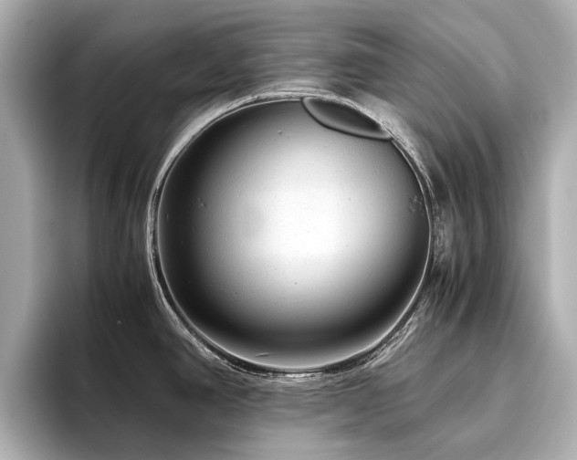 X0000096481390200801241435