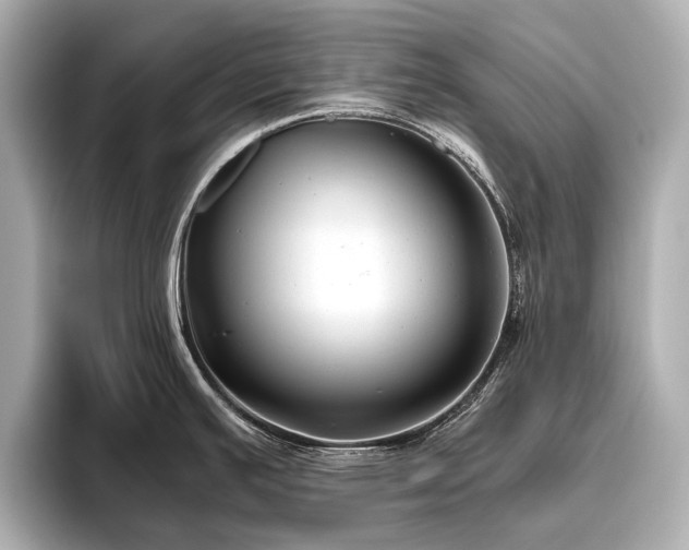 X0000096481391200801241435