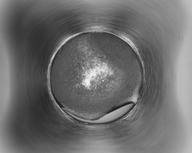 X0000096481392200801241435