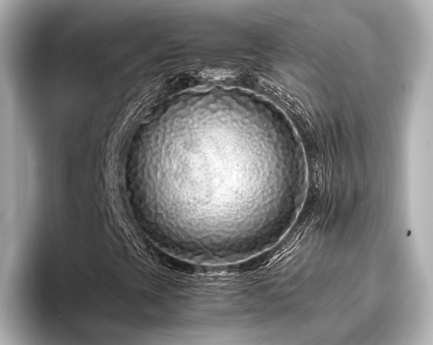 X0000096481393200801241435