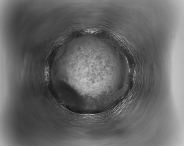 X0000096481394200801241435