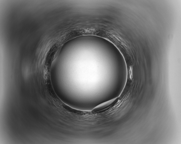 X0000096481395200801241435