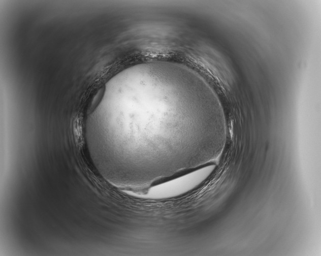 X0000096481396200801241435