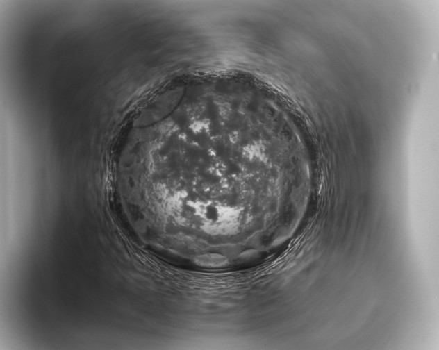 X0000096481397200801241435