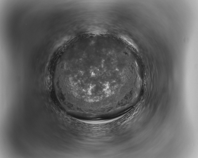 X0000096481398200801241435