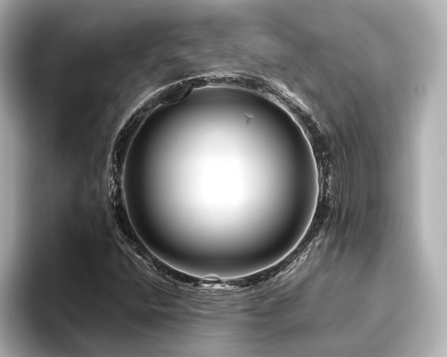 X0000096481400200801241435