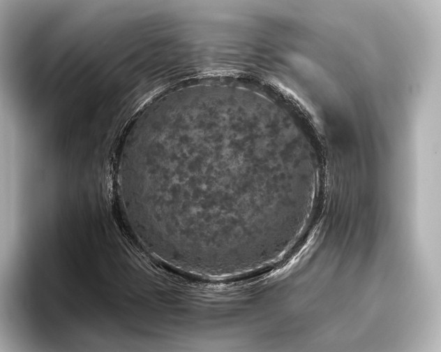 X0000096481401200801241435