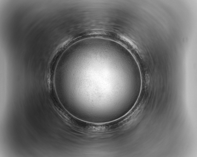 X0000096481403200801241435