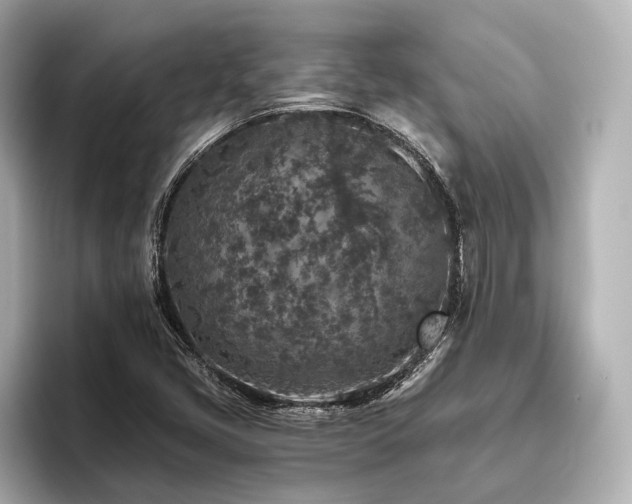 X0000096481405200801241435