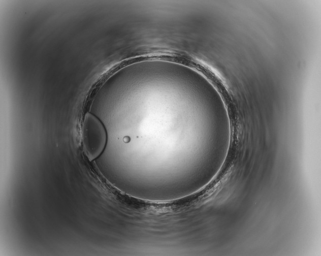 X0000096481407200801241435