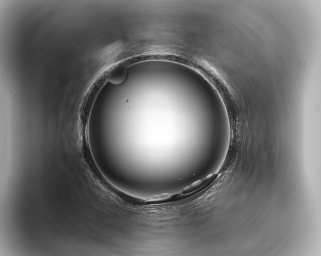 X0000096481408200801241435