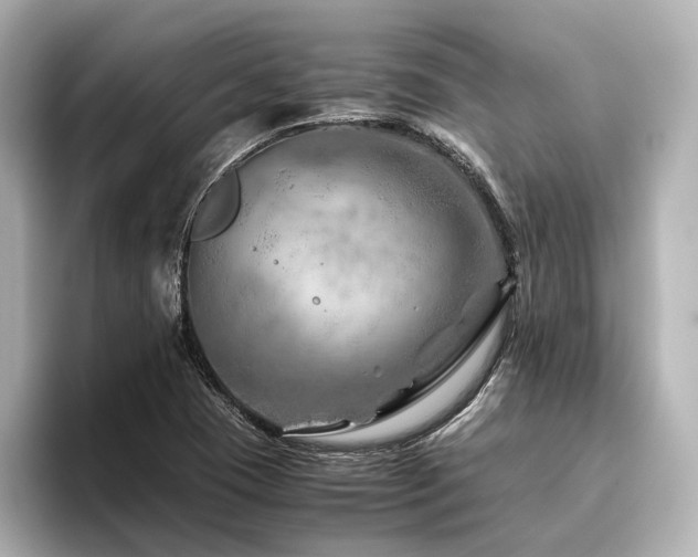 X0000096481409200801241435