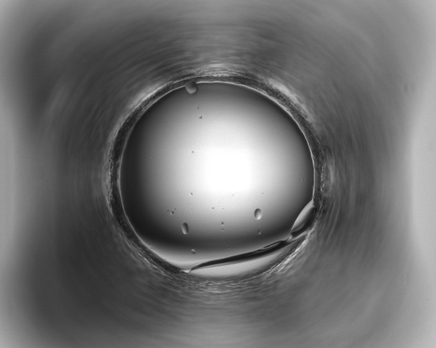 X0000096481410200801241435