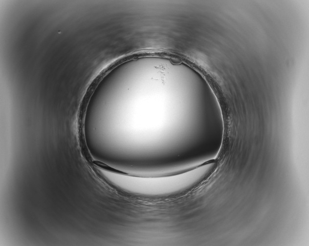 X0000096481412200801241435