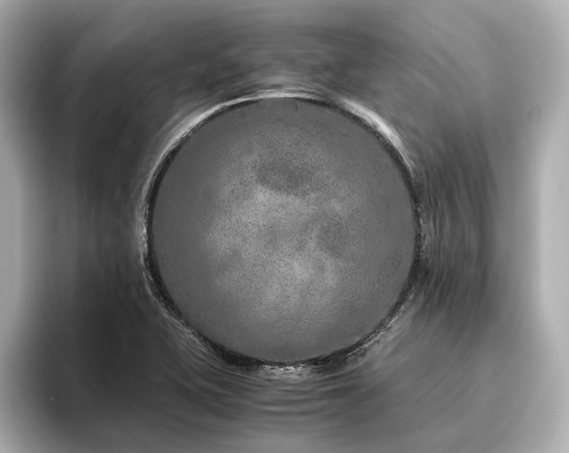 X0000096481415200801241435