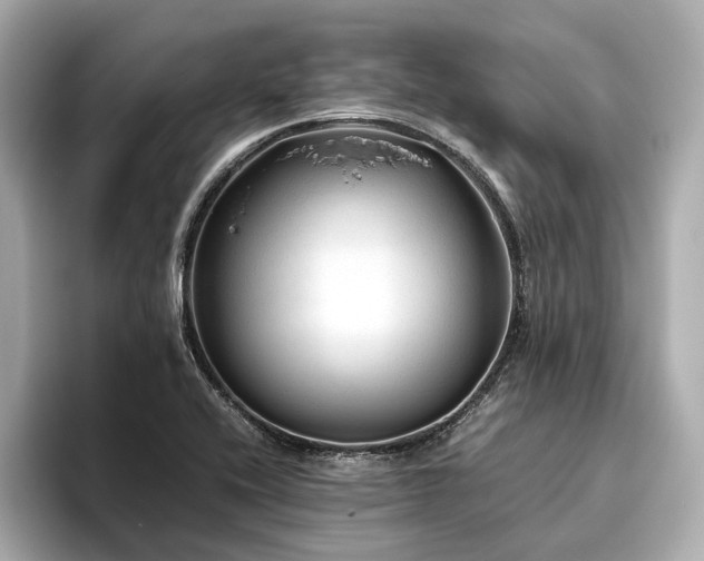 X0000096481416200801241435