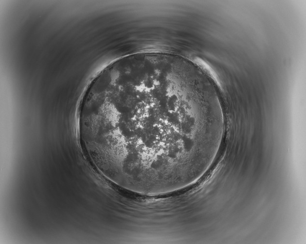 X0000096481419200801241435