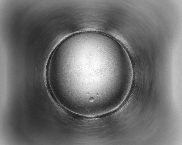 X0000096481423200801241435