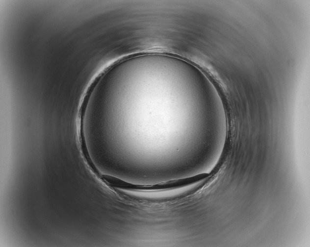 X0000096481424200801241435