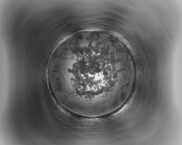 X0000096481425200801241435