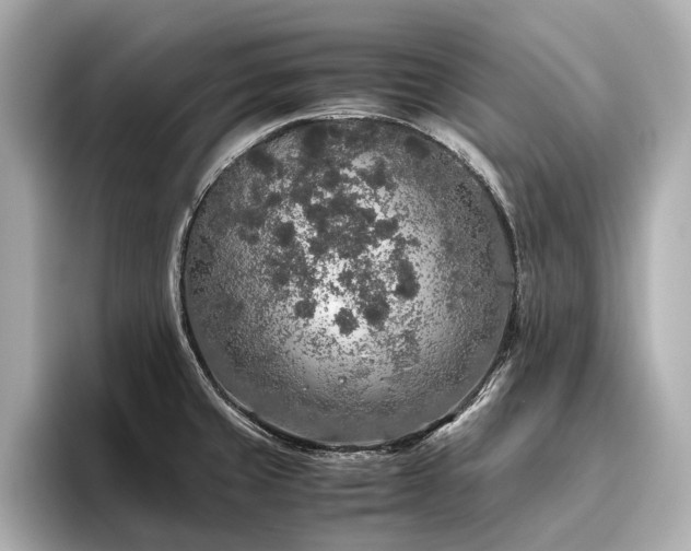 X0000096481429200801241435