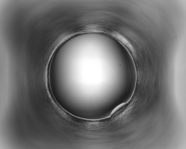 X0000096481431200801241435