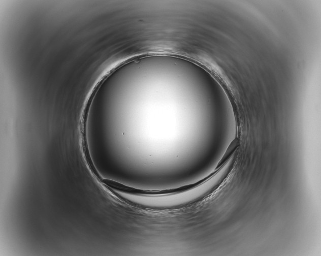 X0000096481432200801241435